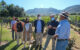 Promoverán el turismo vinícola para Chapala y Tuxcueca