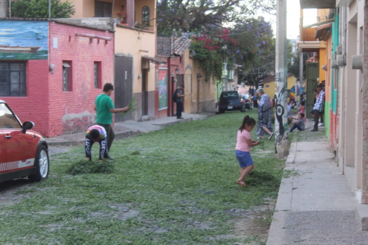Vecinos apoyando a colocar la alfalfa en la calle Hidalgo. Foto: Sofía Medeles.