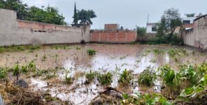 Terreno usado para la siembra de milpa que quedó inundado. Foto: Armando Esquivel.