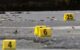 Disminuyen homicidios en Jalisco durante el primer semestre de 2025