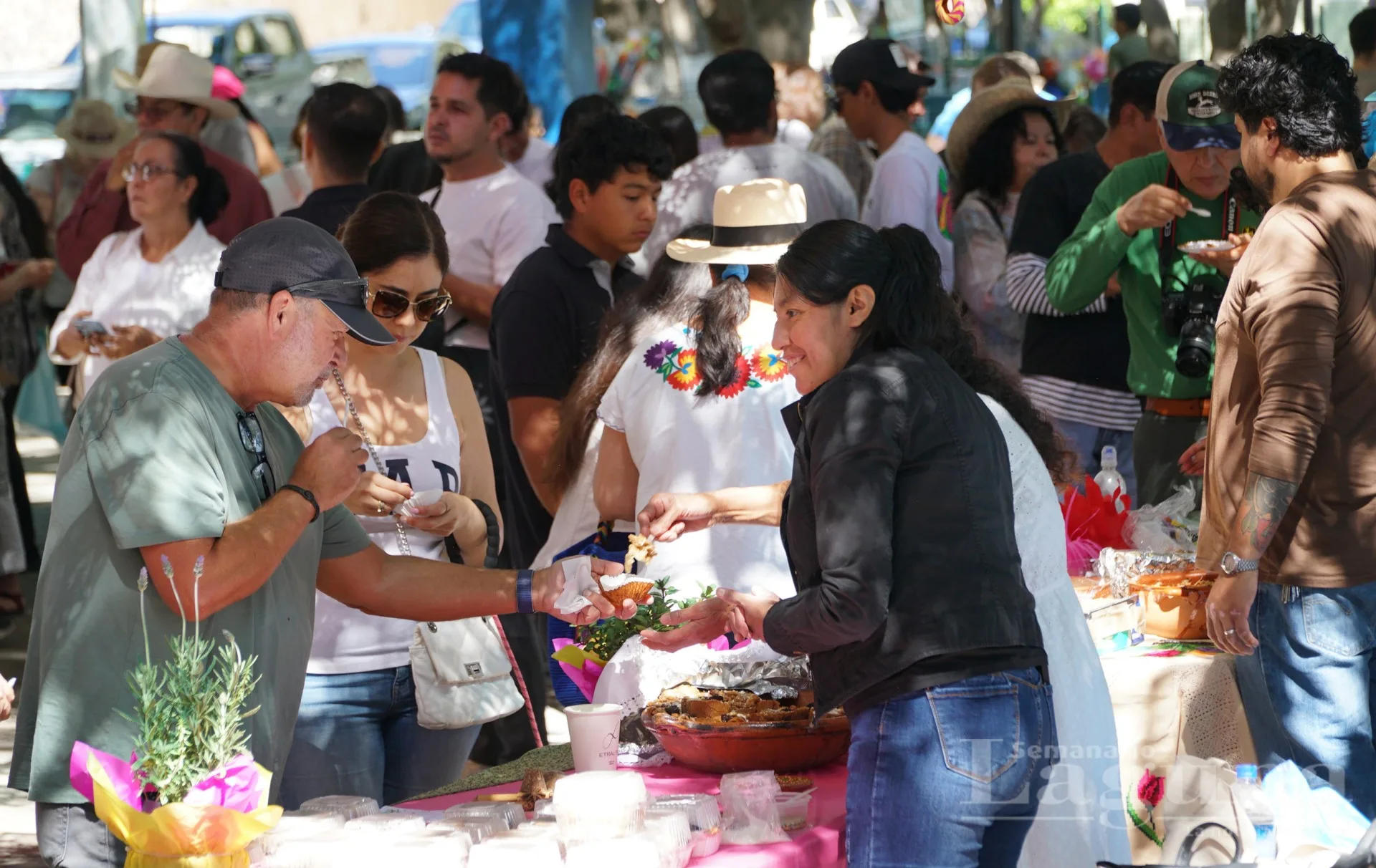 2 (50).jpg 2 (50).jpg