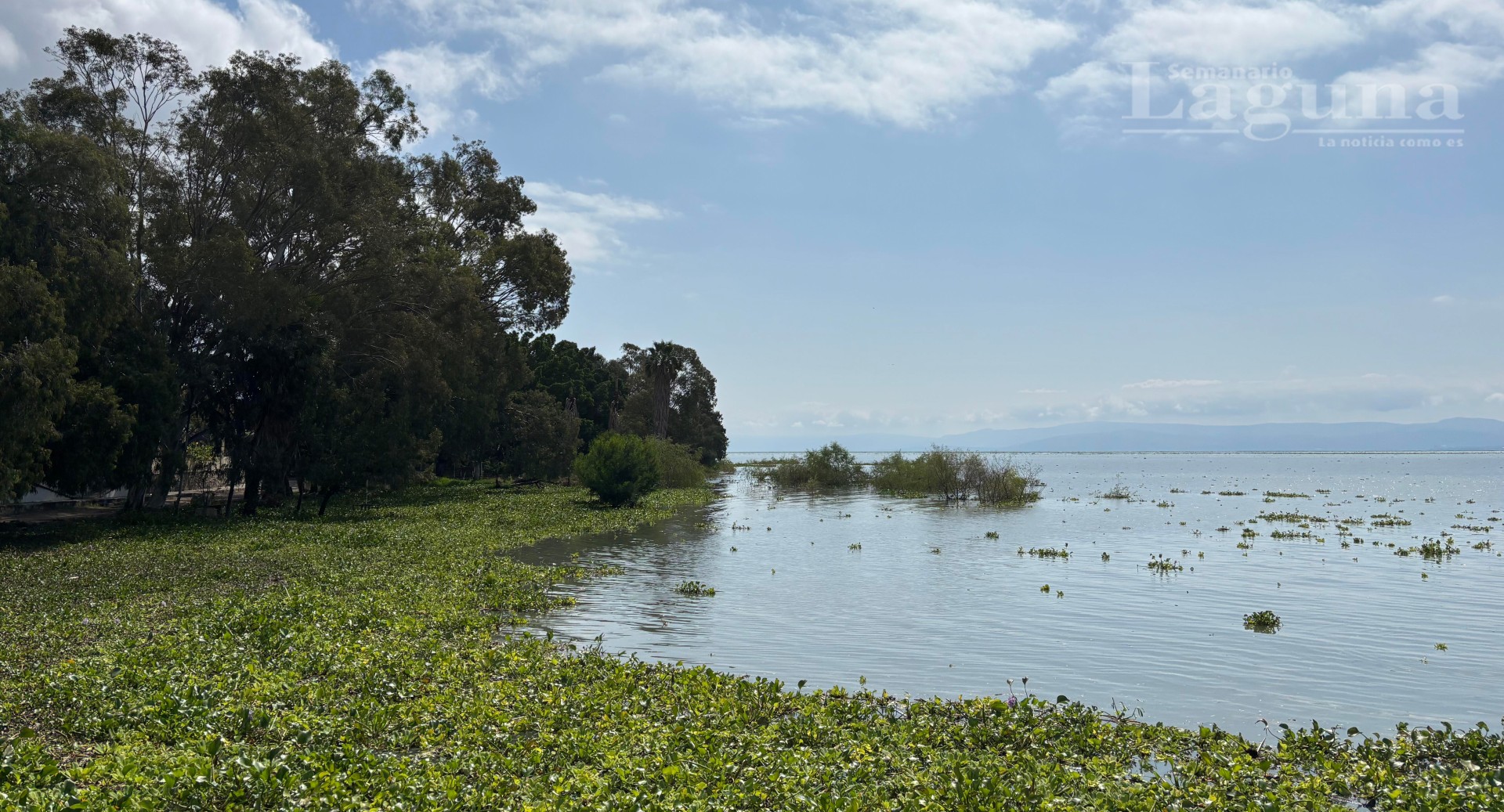 FOTO 4_.jpg FOTO 4_.jpg