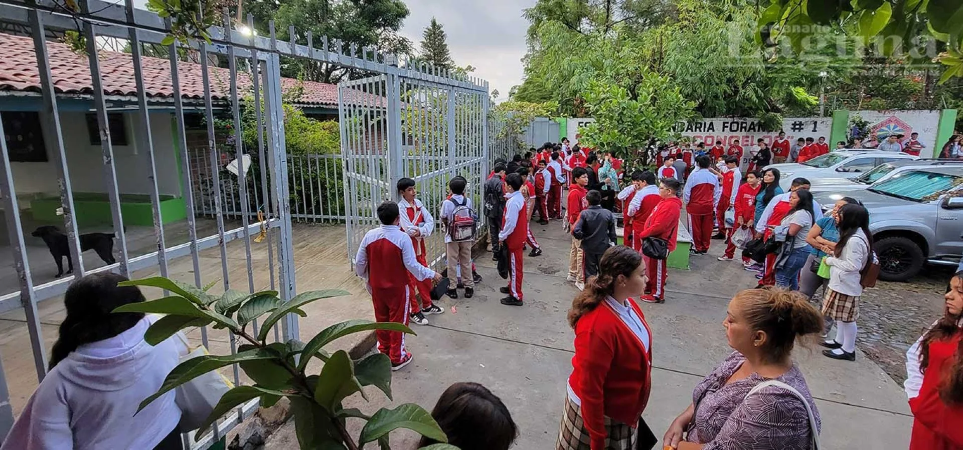 Copia-de-2-(38).jpg Copia-de-2-(38).jpg