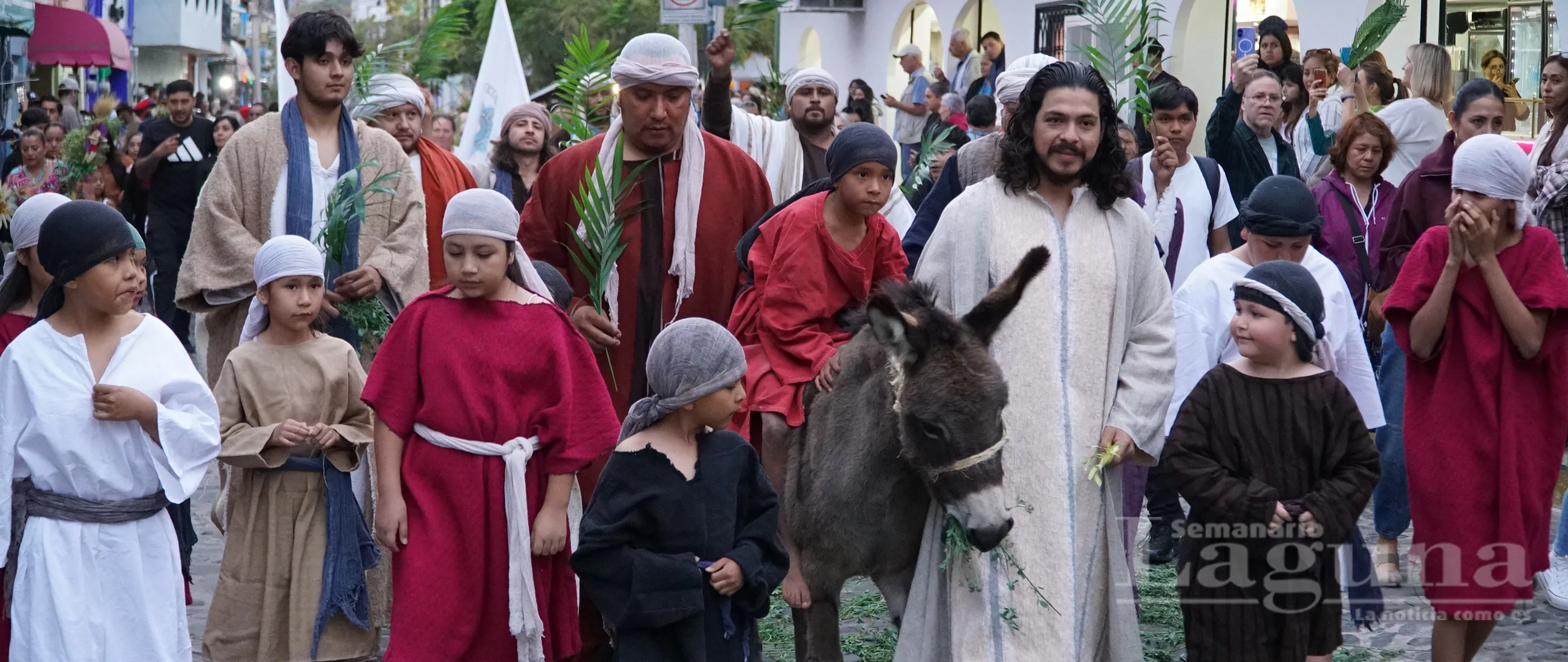 La burra "Burrumina López", de aproximadamente cuatro años, acompañó la entrada triunfal de Jesús en la procesión de Ajijic. Foto: María Di Paola Blum.
