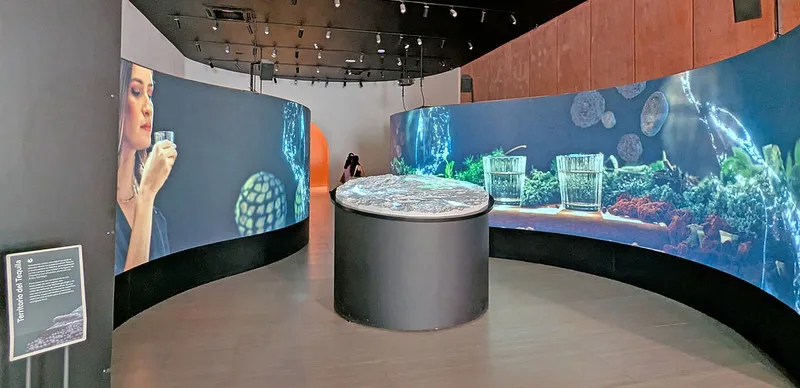 A través de seis salas permanentes y una exposición temporal, el museo explora la historia del tequila. Foto: cortesía.