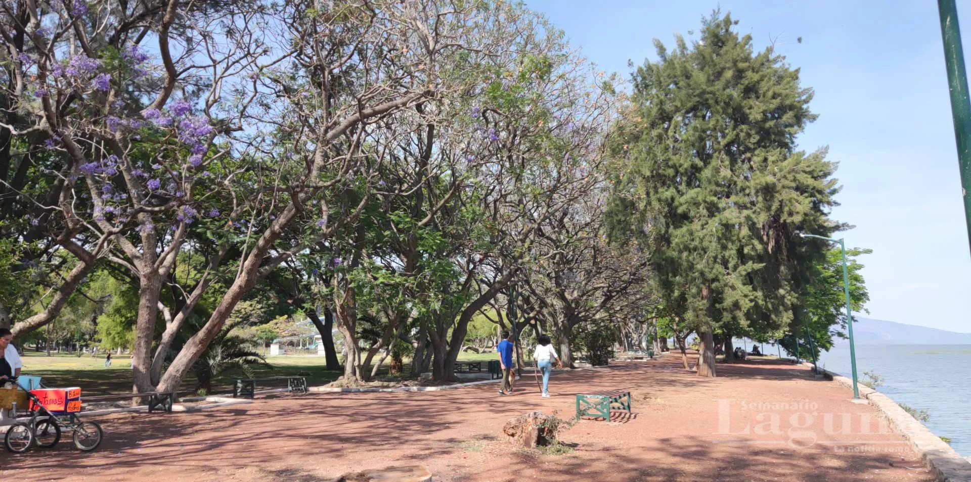 Andador del malecón dentro del Parque de la Cristianía; el proyecto contempla renovar 300 metros de esta ruta. Foto: D. Arturo Ortega.