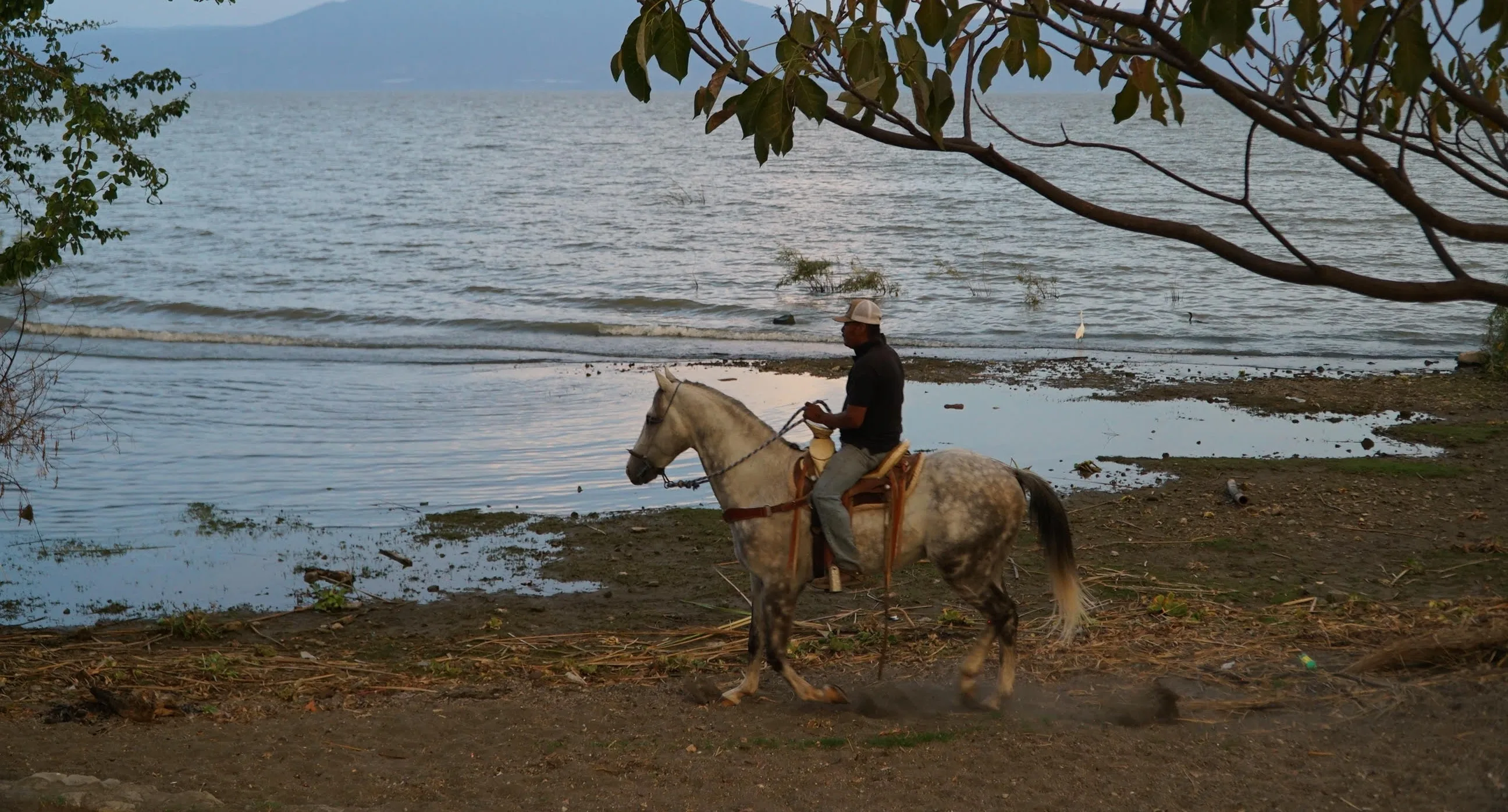 Lago de Chapala desde la zona del Pueblo Mágico de  Ajijic con el paso de un jinete y su caballo. Foto: Maria Di Paola.
