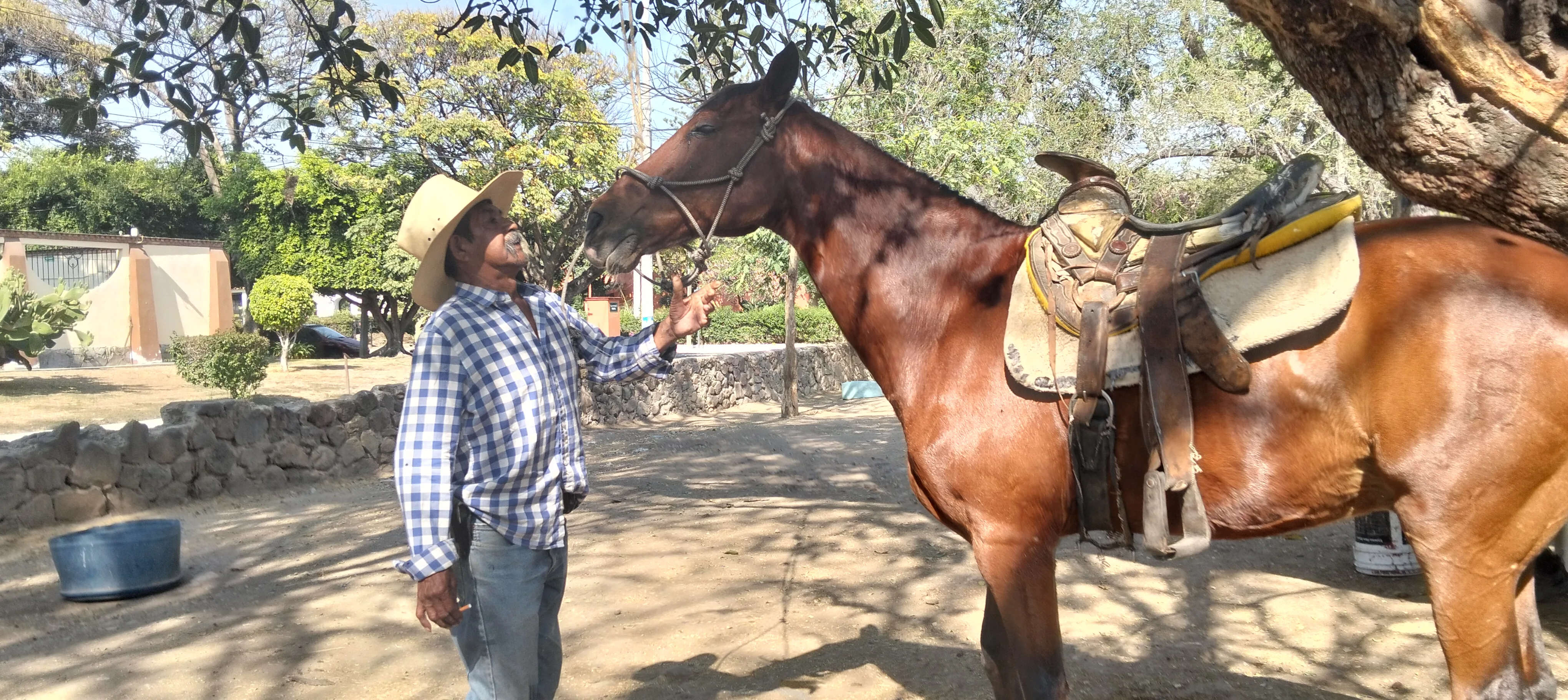 Francisco Rojas Villanueva junto a Rambo, uno de los caballos que la Fiscalía de Jalisco no se llevó. Foto: Armando Esquivel.
