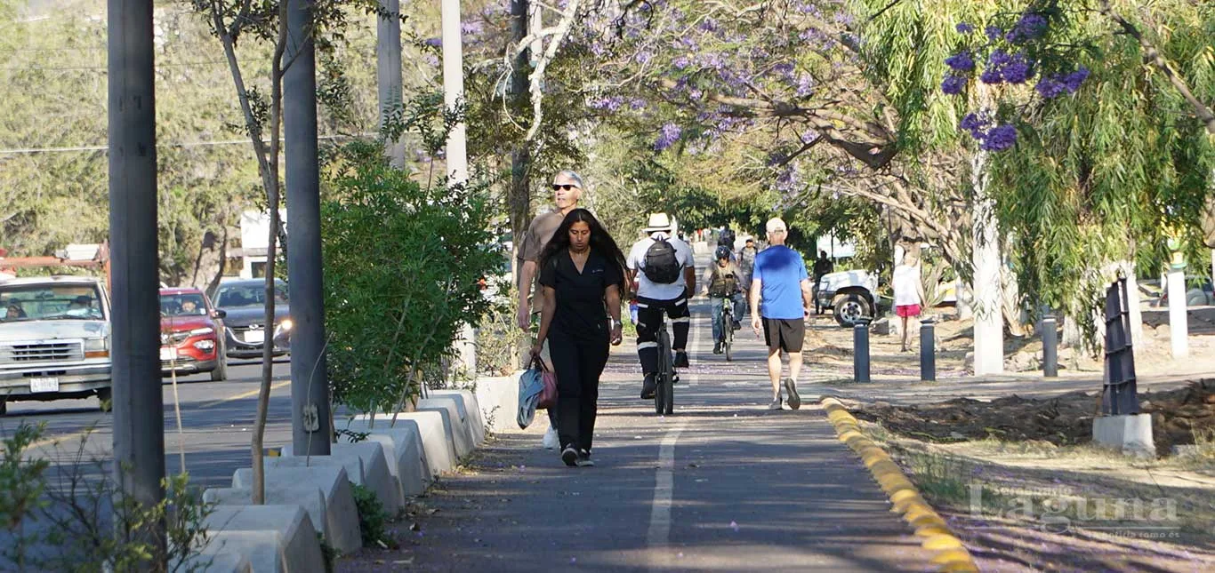 Peatones transitan por la ciclovía Chapala-Jocotepec bajo la sombra de los árboles, la cual ayuda a mitigar las altas temperaturas y la intensa radiación solar registradas en la región. Foto: María Di Paola.