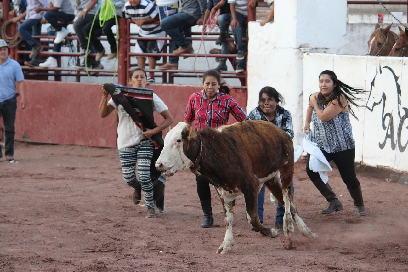 Equipos de mujeres participan en el tradicional concurso de "quitarle el pañuelo a la vaquilla" en el Lienzo Charro de Ajijic, donde la destreza y la adrenalina son las protagonistas de la tarde.