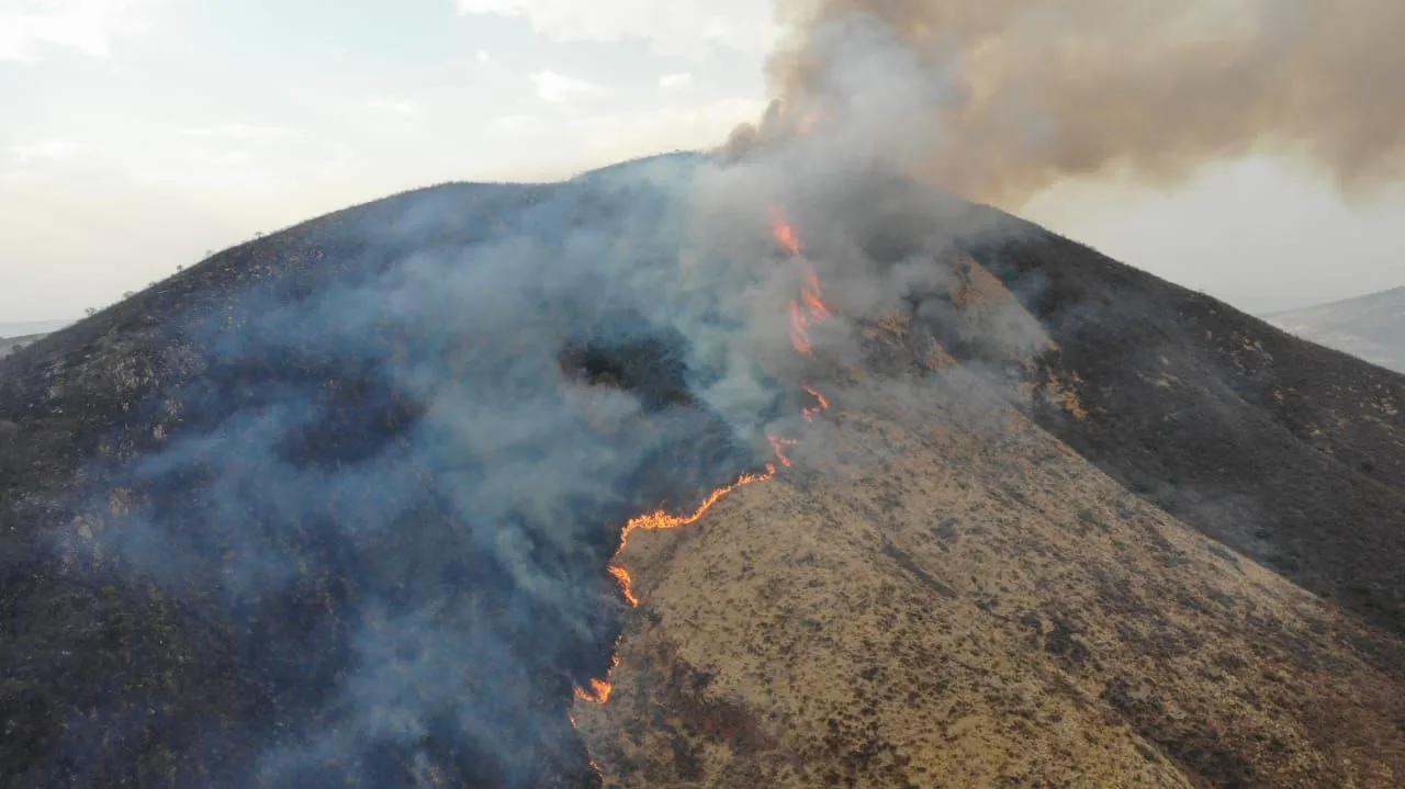 Vista aérea del incendio forestal iniciado el viernes 8 de mayo en San Nicolás de Ibarra y extendido hacia el Cerro de San Francisco. El siniestro forma parte de los 261 incendios registrados en el municipio de Chapala durante el año. Foto: Cortesía.