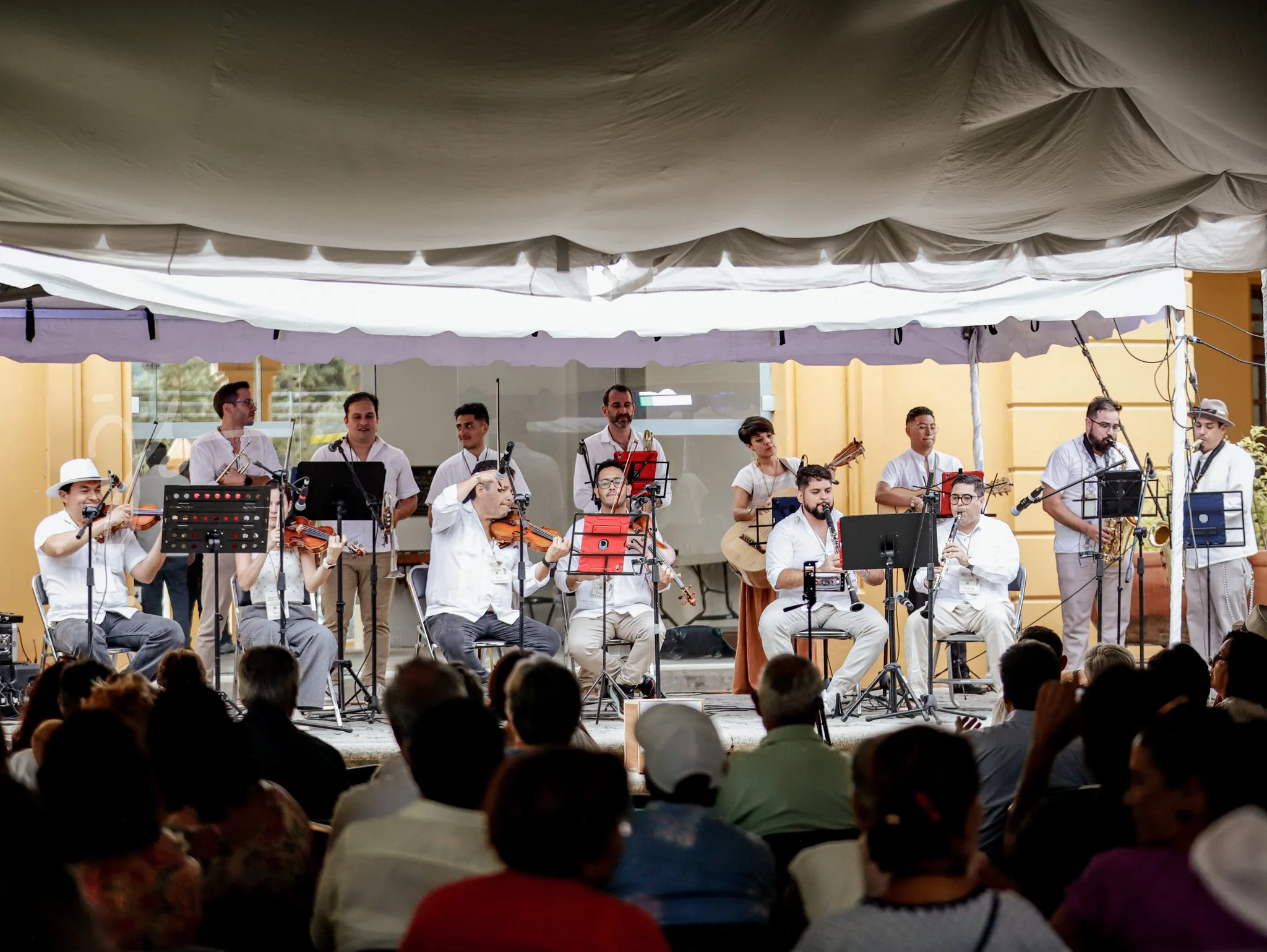 Una de las agrupaciones musicales durante su presentación en la edición 2025 del Encuentro de Arpas, Salterios y Más, celebrado en el Centro Cultural González Gallo. Foto: Cortesía.