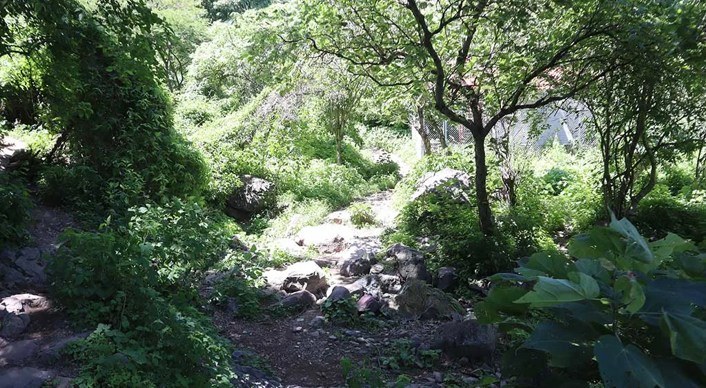 Senderos del Tepalo, Ajijic. Fotos: Sofía Medeles.