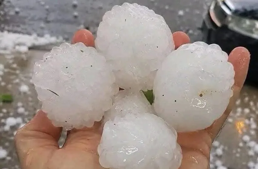 Uno de los varios vehículos afectados por la caída de granizo en Tequila. Foto: Cortesía.