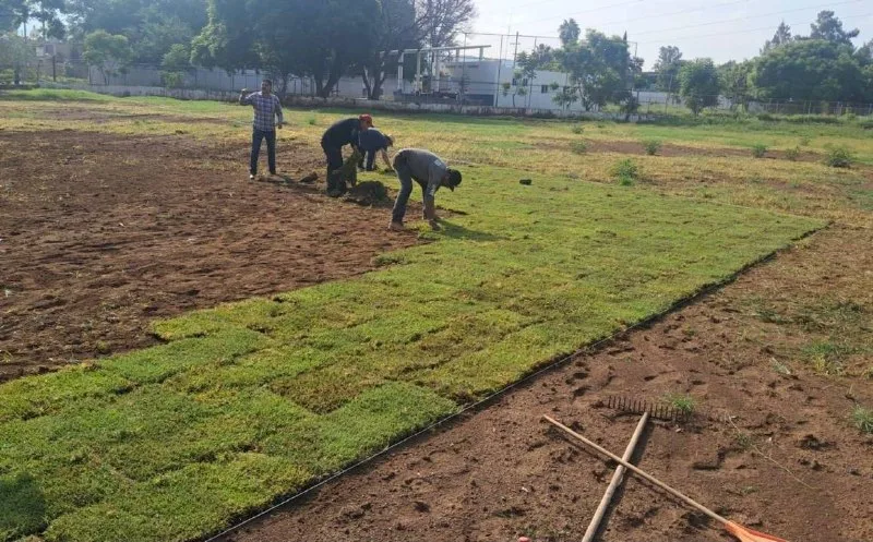 El nuevo pasto comenzó a colocarse el 10 de agosto y se prevé que el campo vuelva a utilizarse en tres o cuatro meses. Foto: Cortesía.
