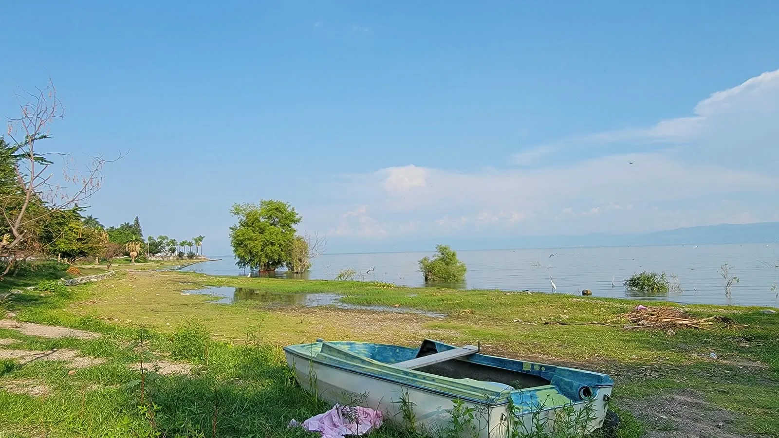 Una canoa permanece a la orilla del lago de Chapala. Foto: Arturo Ortega.