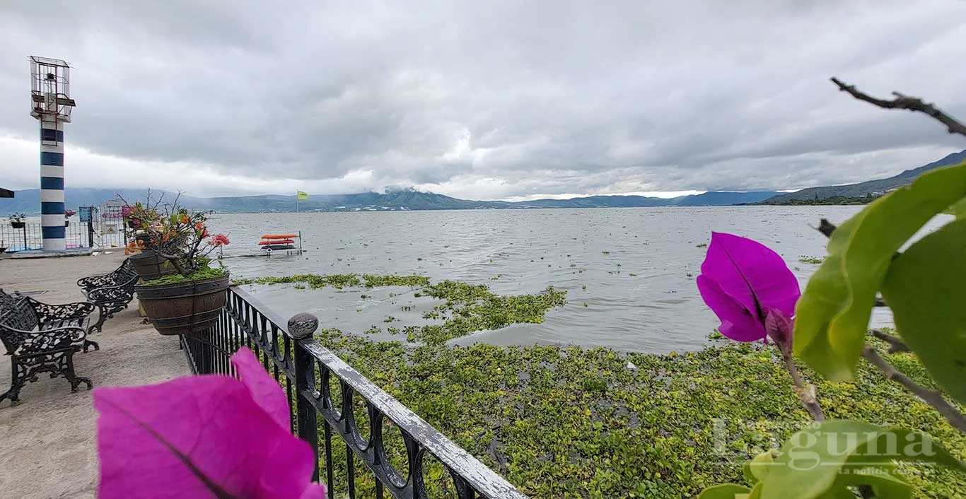 Vista del Lago de Chapala desde el muelle de Ajijic. Foto: D. Arturo Ortega.