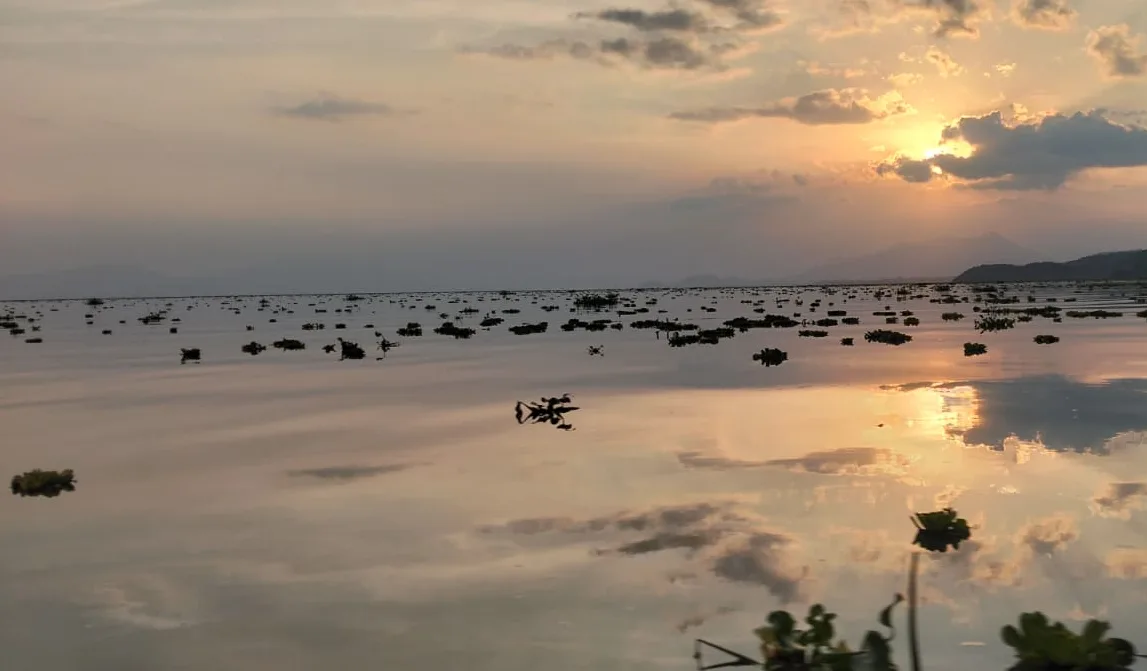 Lago de Chapala desde la zona de Mezcala de la Asunción. Foto: Armando Esquivel.